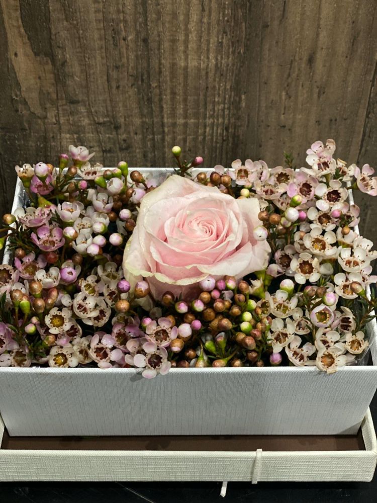 scatola pink mondial e wax flower