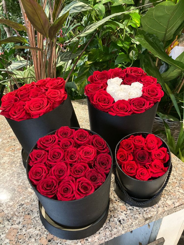 box rose rosse fresche e stabilizzate