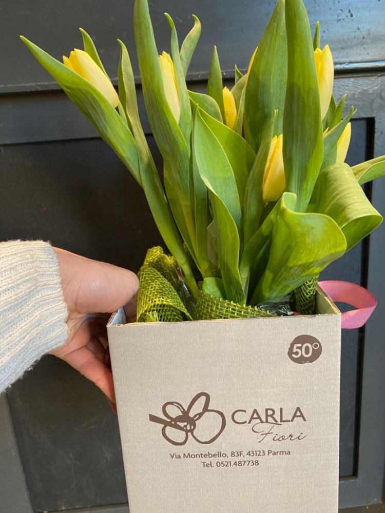 Bulbi di tulipani.